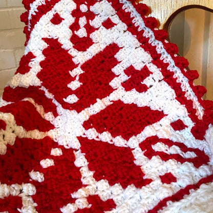 Nordic Star C2C Crochet Square | Corner-to-Corner Crochet Pattern with Chart & Color Blocks